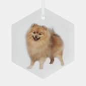 Pommeren Dog Pet Animal Glass Ornament (Achterkant)