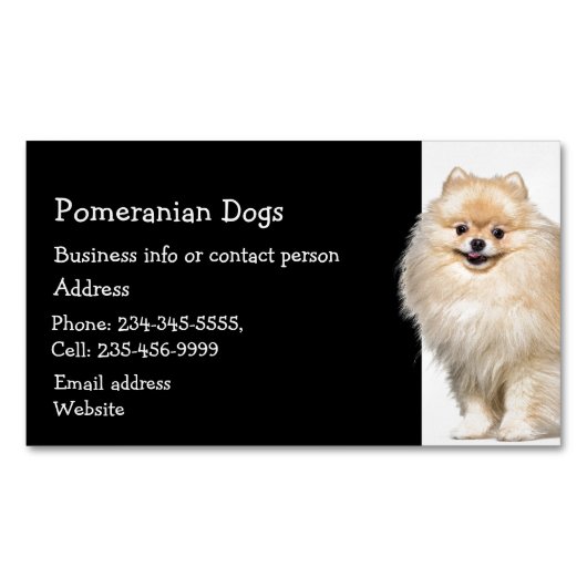 Pommeren Dogs Breeder Pet Sitter Magnetisch Visitekaartje (Voorkant)