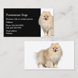 Pommeren Dogs Breeder Pet Sitter Visitekaartje