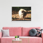 Pommeren draaien in de Gestorven bladeren Canvas Afdruk (Insitu (Woonkamer))