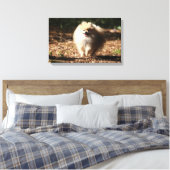 Pommeren draaien in de Gestorven bladeren Canvas Afdruk (Insitu (Slaapkamer))