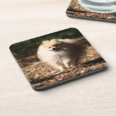 Pommeren draaien in de Gestorven bladeren Drankjes Onderzetter (Linkerzijde)