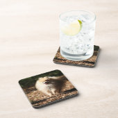 Pommeren draaien in de Gestorven bladeren Drankjes Onderzetter (Rechterzijde)