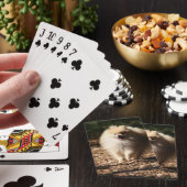 Pommeren draaien in de Gestorven bladeren Pokerkaarten (Insitu)