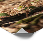 Pommeren draaien in de Gestorven bladeren Poster (Hoek)