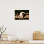 Pommeren draaien in de Gestorven bladeren Poster (Keuken)