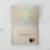 Pommeren en Teddy-beer krijgen wel kaart (Binnen)