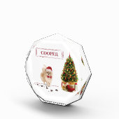 Pommeren Funny-kersthond met boom Fotoblokken (Rechts)