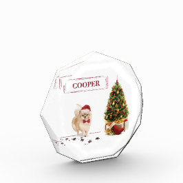 Pommeren Funny-kersthond met boom Fotoblokken