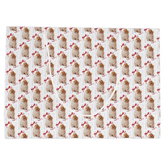 Pommeren Gift Bag Groot Cadeauzakje (Achterkant)