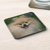 Pommeren glimlachen drankjes onderzetter (Linkerzijde)