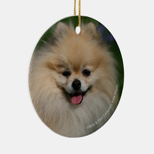 Pommeren glimlachen keramisch ornament (Rechts)