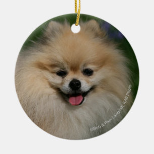 Pommeren glimlachen keramisch ornament