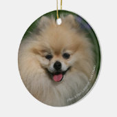 Pommeren glimlachen keramisch ornament (Links)