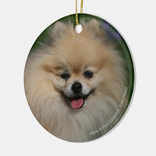 Pommeren glimlachen keramisch ornament (Links)