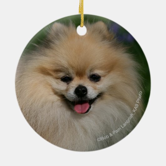 Pommeren glimlachen keramisch ornament (Achterkant)