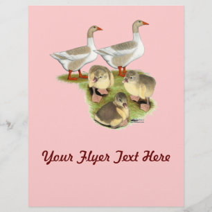 Pommeren Goose Family Flyer