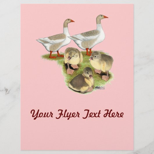Pommeren Goose Family Flyer (Voorkant)