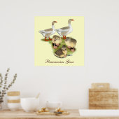 Pommeren Goose Family Poster (Keuken)