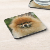 Pommeren Hoofdfoto's met camera's Drankjes Onderzetter (Linkerzijde)