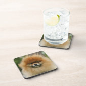 Pommeren Hoofdfoto's met camera's Drankjes Onderzetter (Rechterzijde)