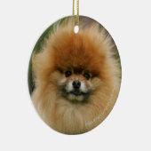 Pommeren Hoofdfoto's met camera's Keramisch Ornament (Rechts)