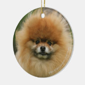 Pommeren Hoofdfoto's met camera's Keramisch Ornament (Links)