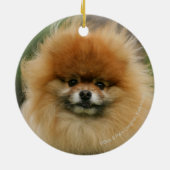 Pommeren Hoofdfoto's met camera's Keramisch Ornament (Achterkant)