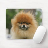 Pommeren Hoofdfoto's met camera's Muismat (Met muis)