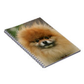 Pommeren Hoofdfoto's met camera's Notitieboek (Rechterzijde)