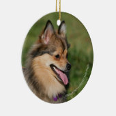 Pommeren hoofdschot pannen keramisch ornament (Rechts)