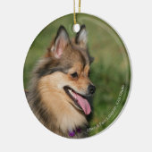 Pommeren hoofdschot pannen keramisch ornament (Links)