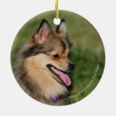 Pommeren hoofdschot pannen keramisch ornament (Achterkant)