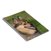 Pommeren hoofdschot pannen notitieboek (Rechterzijde)