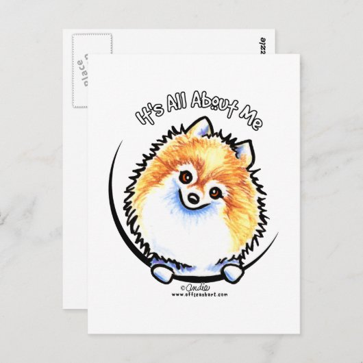 Pommeren IAAM Briefkaart (Voorkant / Achterkant)