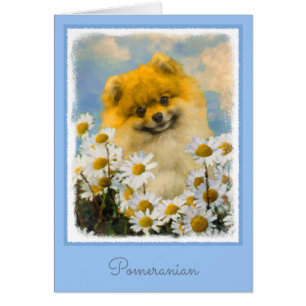 Pommeren in Daisies schilderen - Oorspronkelijke h
