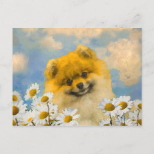Pommeren in Daisies schilderen - Oorspronkelijke h Briefkaart
