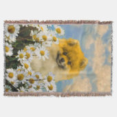 Pommeren in Daisies schilderen - Oorspronkelijke h Deken (Voorkant)