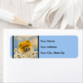 Pommeren in Daisies schilderen - Oorspronkelijke h Etiket (Insitu)