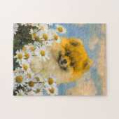 Pommeren in Daisies schilderen - Oorspronkelijke h Legpuzzel (Horizontaal)