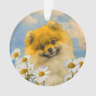 Pommeren in Daisies schilderen - Oorspronkelijke h Ornament