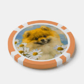 Pommeren in Daisies schilderen - Oorspronkelijke h Poker Chips (Enkel)