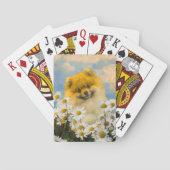 Pommeren in Daisies schilderen - Oorspronkelijke h Pokerkaarten (Achterkant)