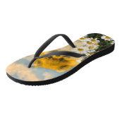 Pommeren in Daisies schilderen - Oorspronkelijke h Teenslippers (Schuin)