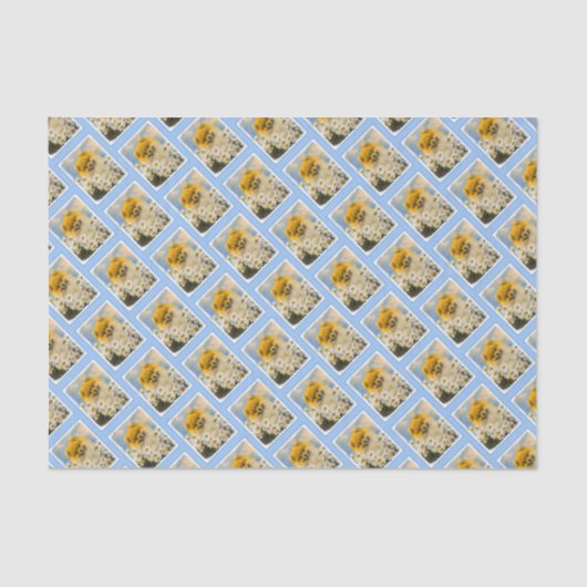 Pommeren in Daisies schilderen - Oorspronkelijke h Tissuepapier (Voorkant)