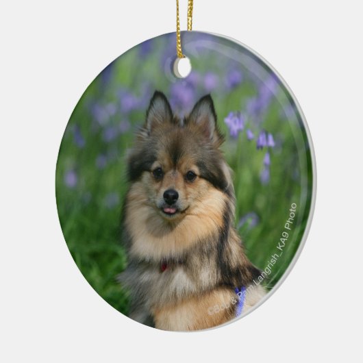 Pommeren in de Gras Keramisch Ornament (Links)