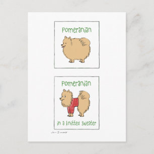 Pommeren in een gebreide Sweater Briefkaart