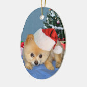Pommeren in Santa Hat Ornament (Links)