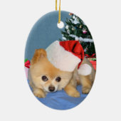 Pommeren in Santa Hat Ornament (Achterkant)