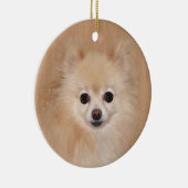 Pommeren Keramisch Ornament (Rechts)